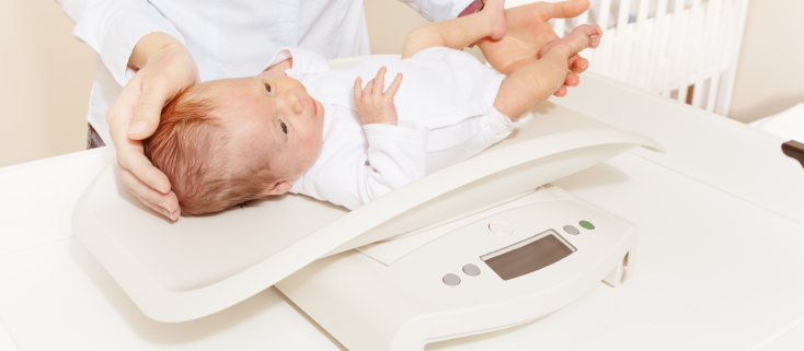 Biểu Đồ Tăng Trưởng Tự Động & Cảnh Báo Sớm